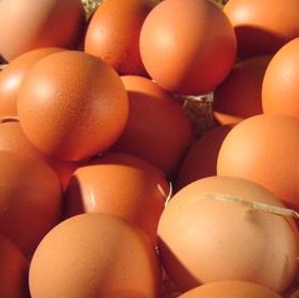 Produktfoto zu 10 Eier (M)