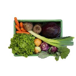 Heimische Gemüse-Kisten