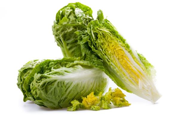 Produktfoto zu Salat, Romanasalat