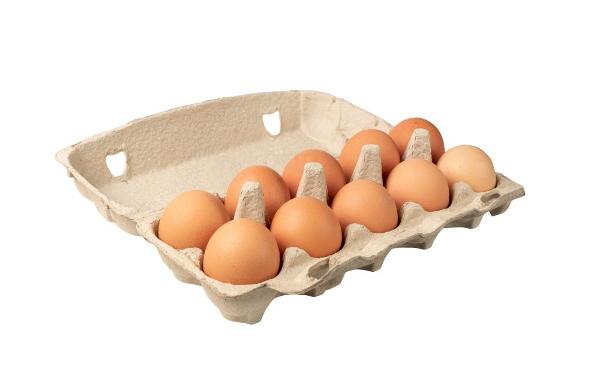 Produktfoto zu Bruderhahn-Eier, 10 Stück