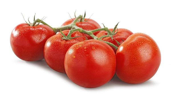 Produktfoto zu Tomaten am Strauch