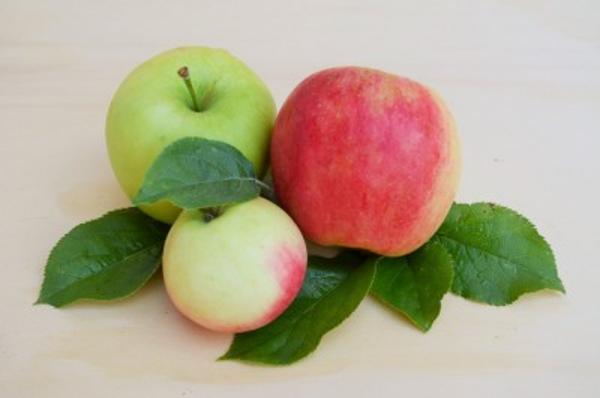 Produktfoto zu Apfel säuerlich