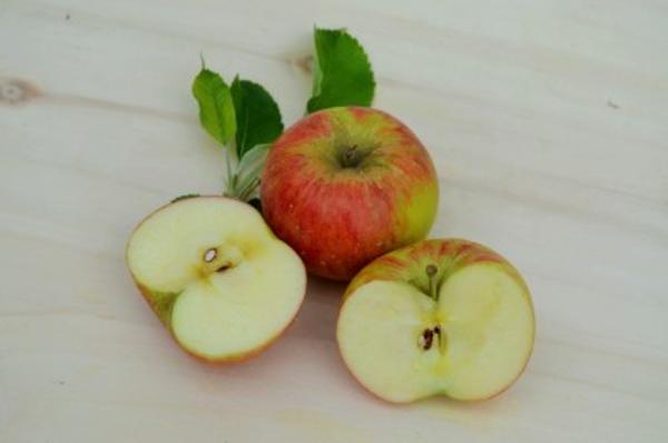 Produktfoto zu Apfel Topaz