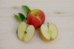 Apfel Braeburn aus Umstellung