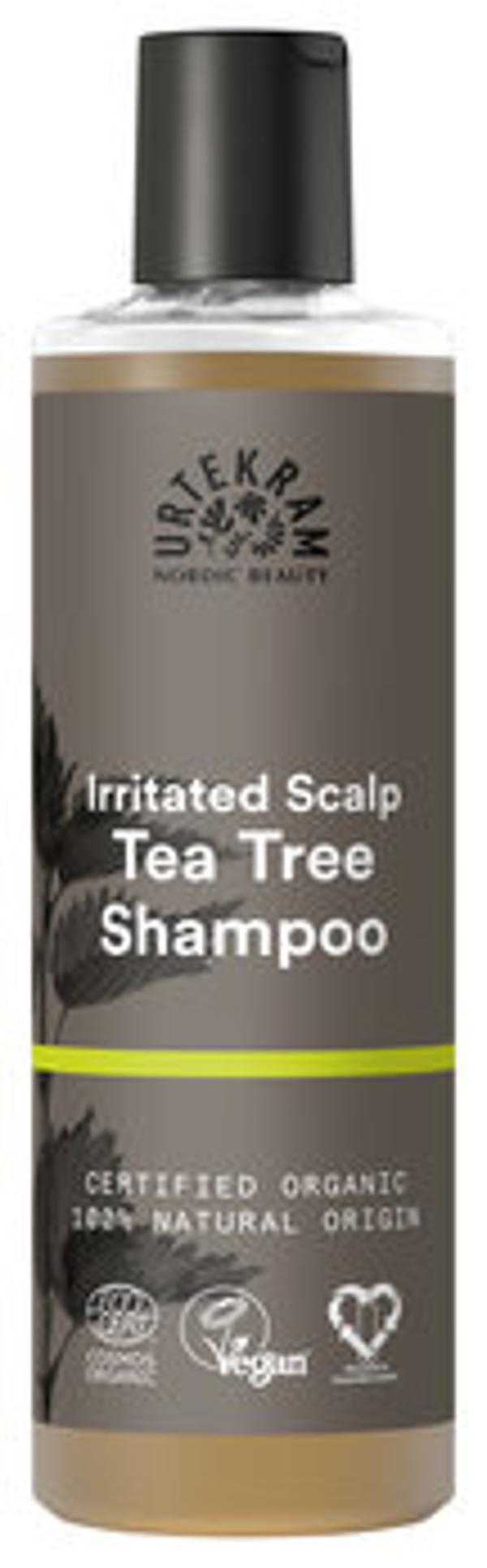 Produktfoto zu Teebaum Shampoo für gereizte Kopfhaut