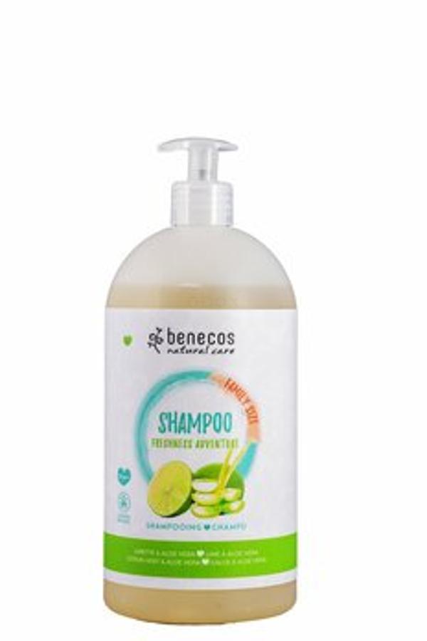Produktfoto zu Shampoo FAMILY Freshness Adventure Lime Aloe
