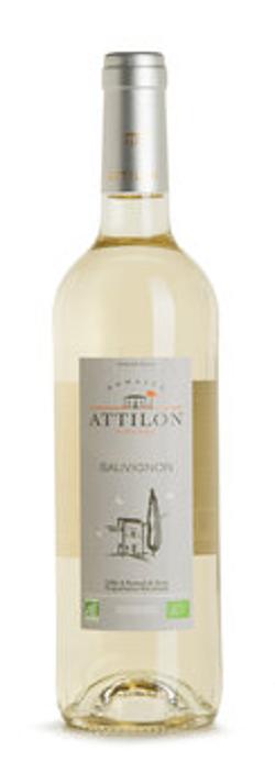 Sauvignon blanc Attilon, weiß