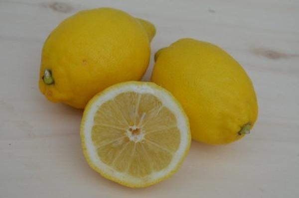 Produktfoto zu Zitronen