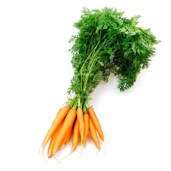 Produktfoto zu Karotten-Bund