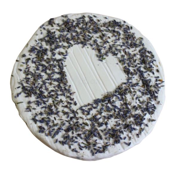 Produktfoto zu Ziegenbrie mit Lavendel