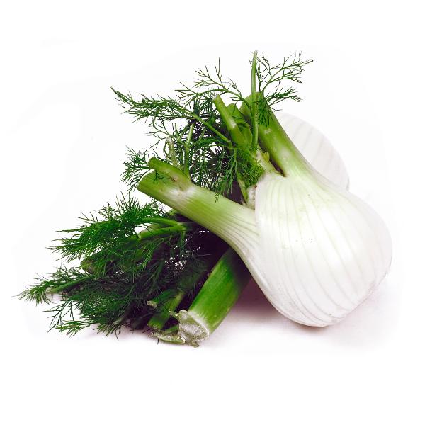 Produktfoto zu Fenchel