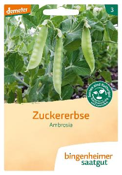 Saatgut, Zuckererbse Ambrosia