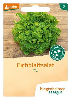 Saatgut, Eichblattsalat, Till