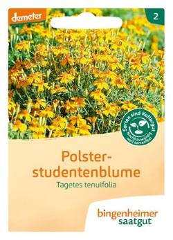 Saatgut, Polsterstudentenblume