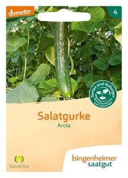 Saatgut, Salatgurke Arola