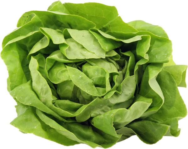 Produktfoto zu Kopfsalat grün