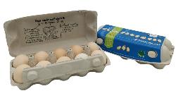 Eier 10 Stück Breitsameter