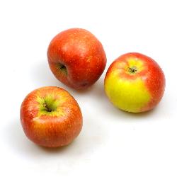 Äpfel  Ingol (süß)