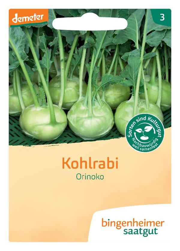 Produktfoto zu Saatgut, Kohlrabi Orinoko