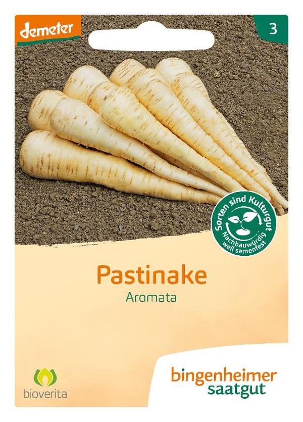 Produktfoto zu Saatgut, Pastinake Aromata