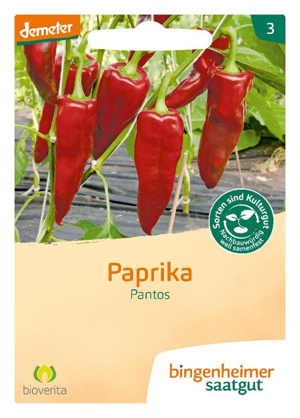 Produktfoto zu Saatgut, Paprika Pantos