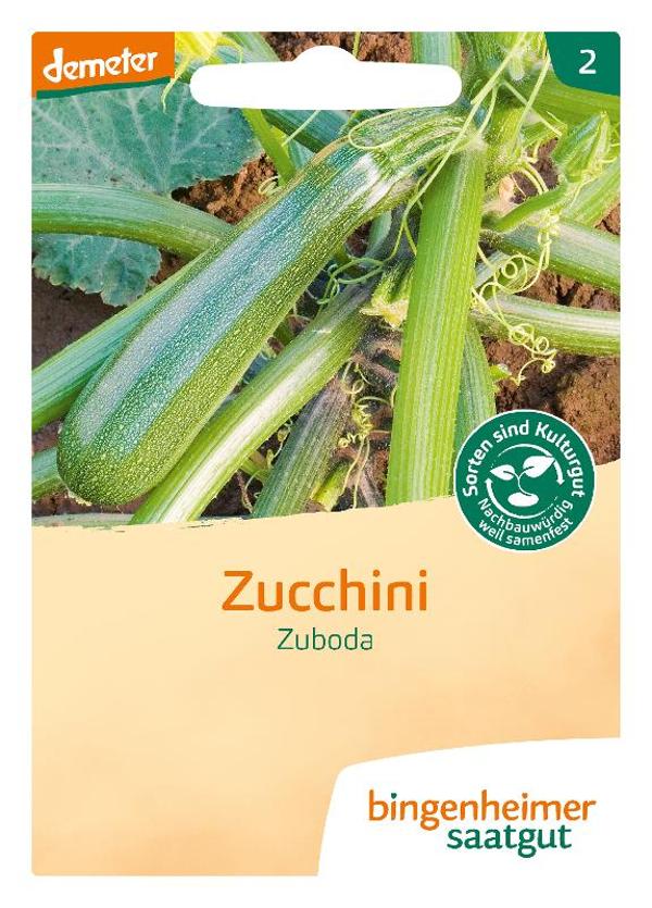 Produktfoto zu Saatgut, Zucchini Zuboda