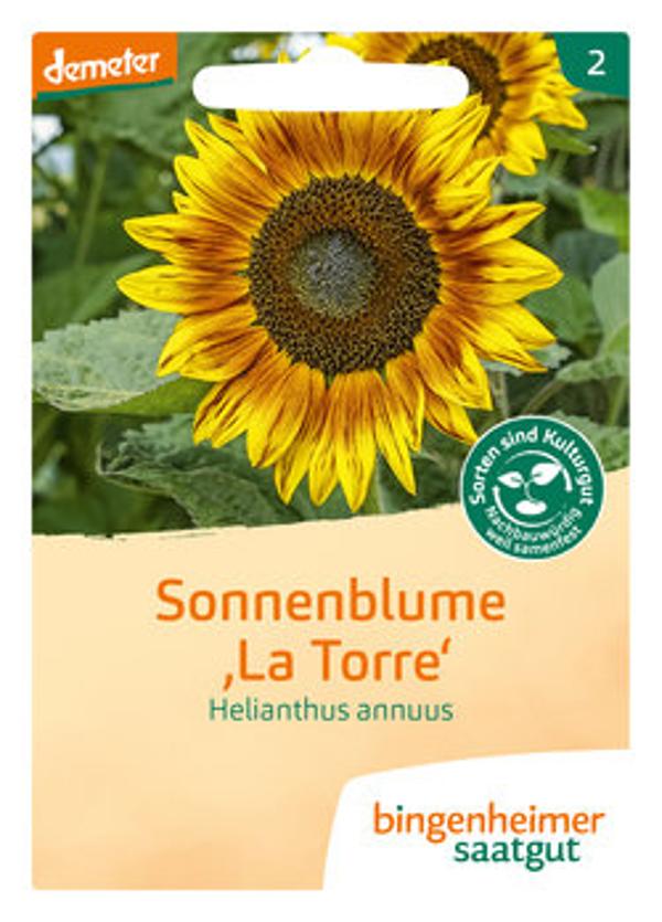 Produktfoto zu Saatgut, Sonnenblume Latorre