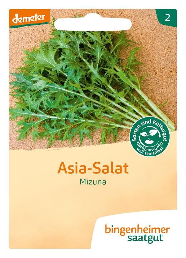 Produktfoto zu Saatgut, Mizuna Asia-Salat