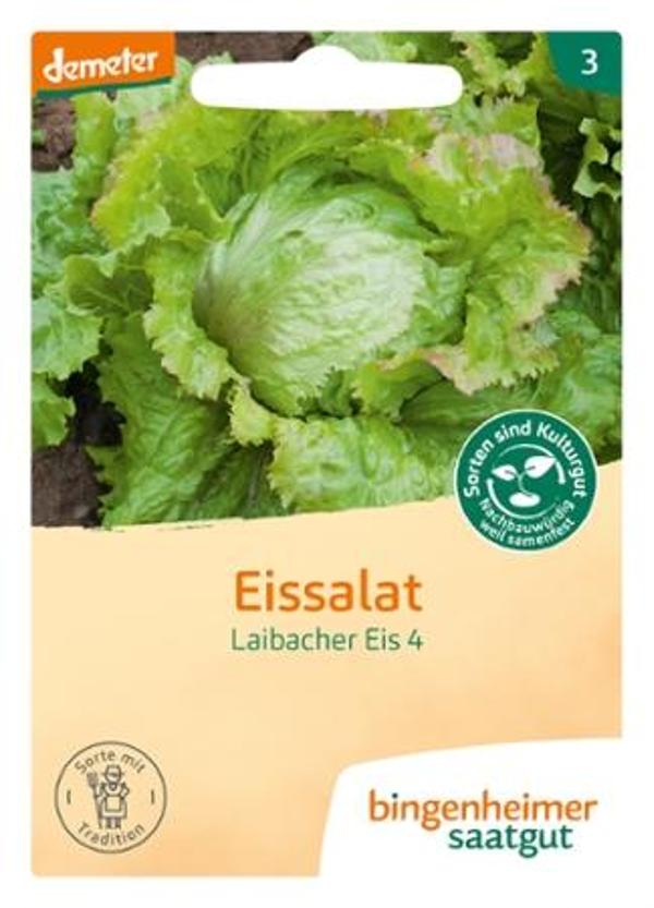 Produktfoto zu Saatgut, Eissalat Laibacher Eis