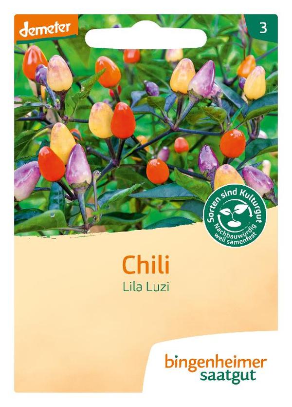 Produktfoto zu Saatgut, Chili Lila Luzi