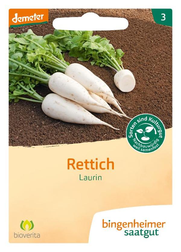 Produktfoto zu Saatgut, Rettich Laurin