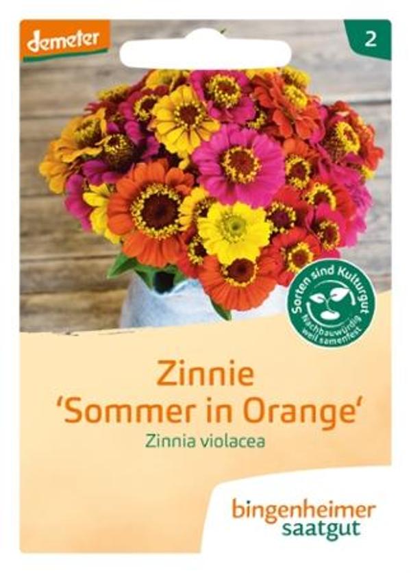 Produktfoto zu Saatgut, Zinnie 'Sommer in Orange'
