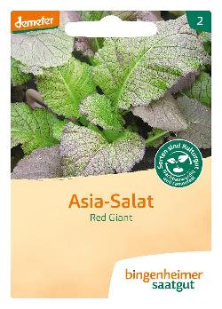 Saatgut, Asia Salat Red Giant
