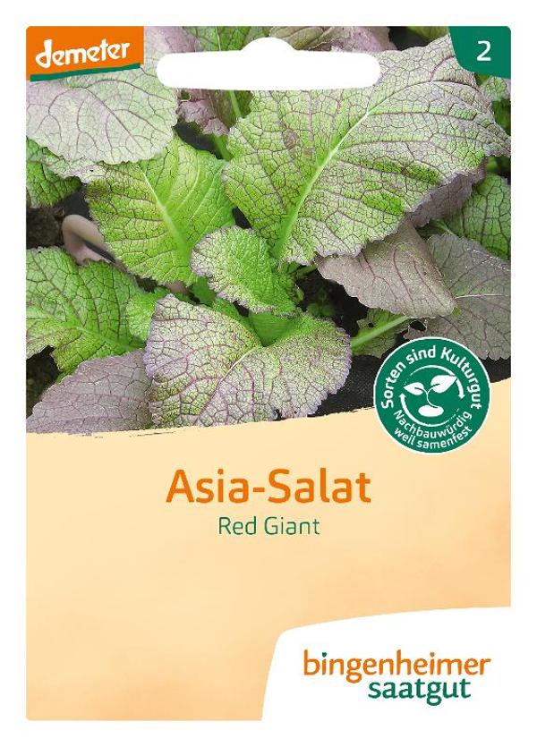 Produktfoto zu Saatgut, Asia Salat Red Giant