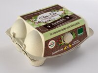 Bio-Eier von Weidehühnern