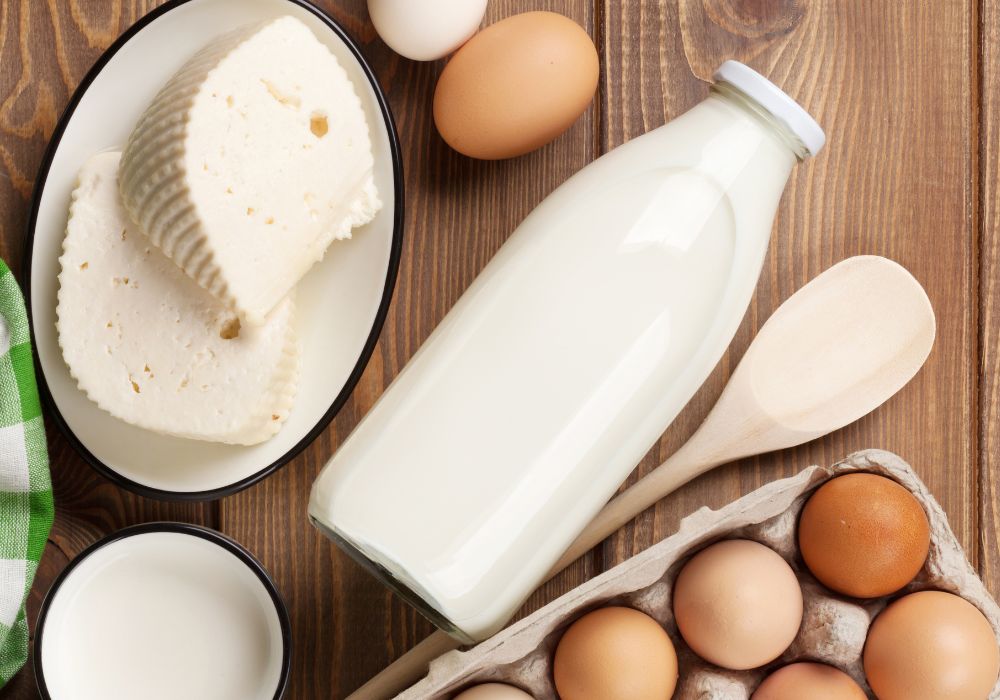 Milchprodukte, Joghurt & Eier