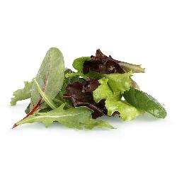 Baby Leaf (Salat Mix)