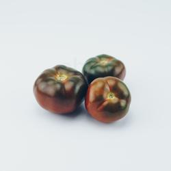 Tomaten 'schwarz Ebeno'