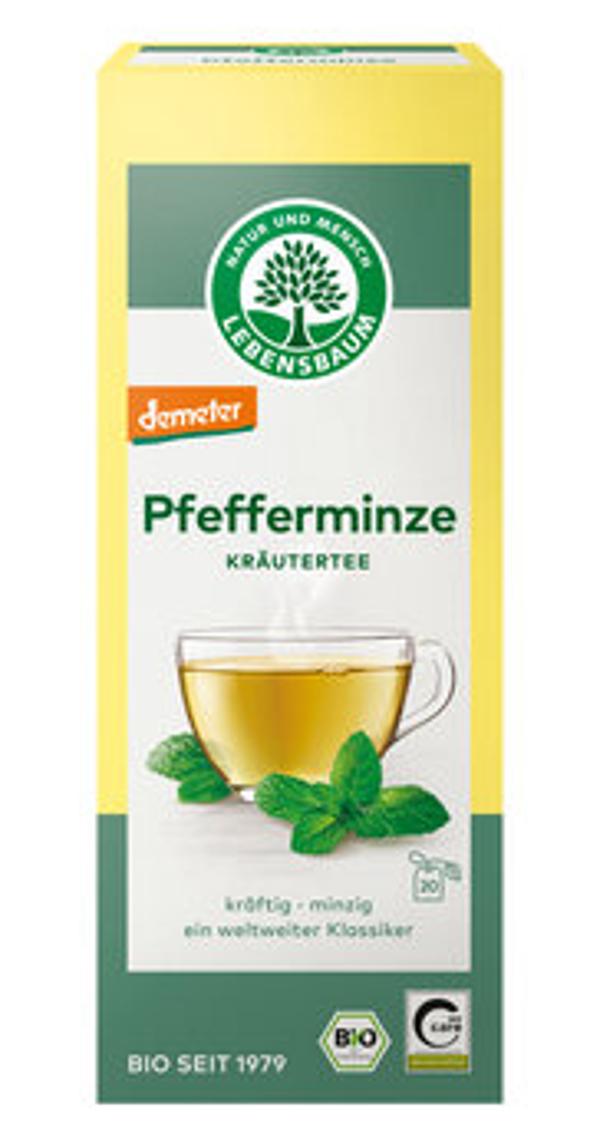 Produktfoto zu Pfefferminz-Tee (Aufgussbtl, … 1,5 g) 30g