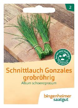 Saatgut Schnittlauch Gonzalez grobröhrig