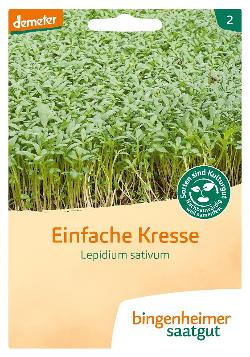 Saatgut Einfache Kresse