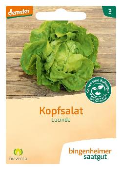 Saatgut Kopfsalat Lucinde