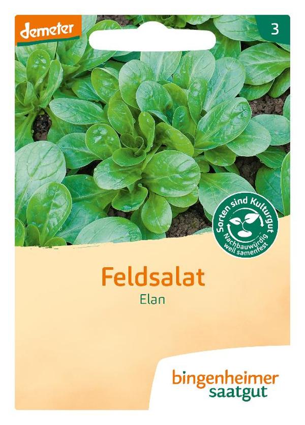 Produktfoto zu Saatgut Feldsalat Elan