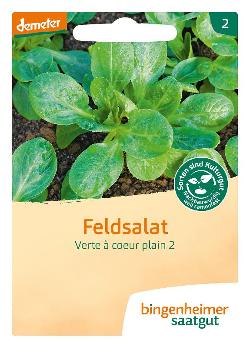 Saatgut Feldsalat Verte à coeur plein