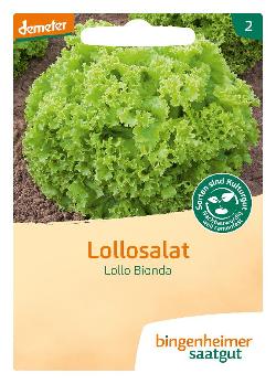 Saatgut Lollosalat Lollo Bionda