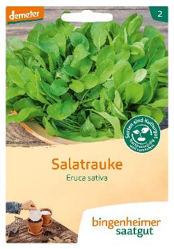 Saatgut Salatrauke Saatscheiben