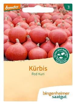 Saatgut Kürbis Hokkaido Red Kuri