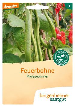 Saatgut Feuerbohne Preisgewinner