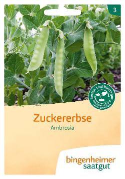 Saatgut Zuckererbse Ambrosia