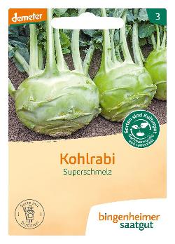 Saatgut Kohlrabi Superschmelz